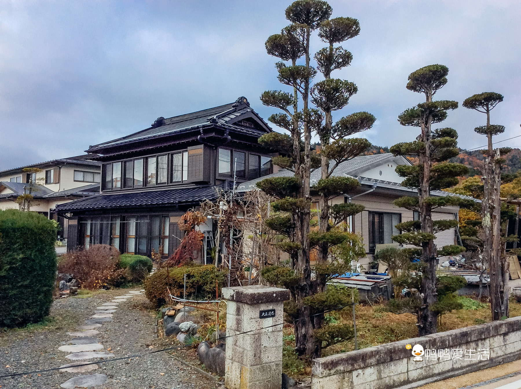 日本“小九寨”藏在富士山下，5月起繁花盛开，还能把泉水带回家