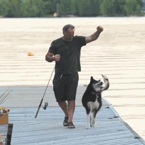 搞笑gif段子又能混饭吃了,搞笑段子gif保证你笑破肚皮
