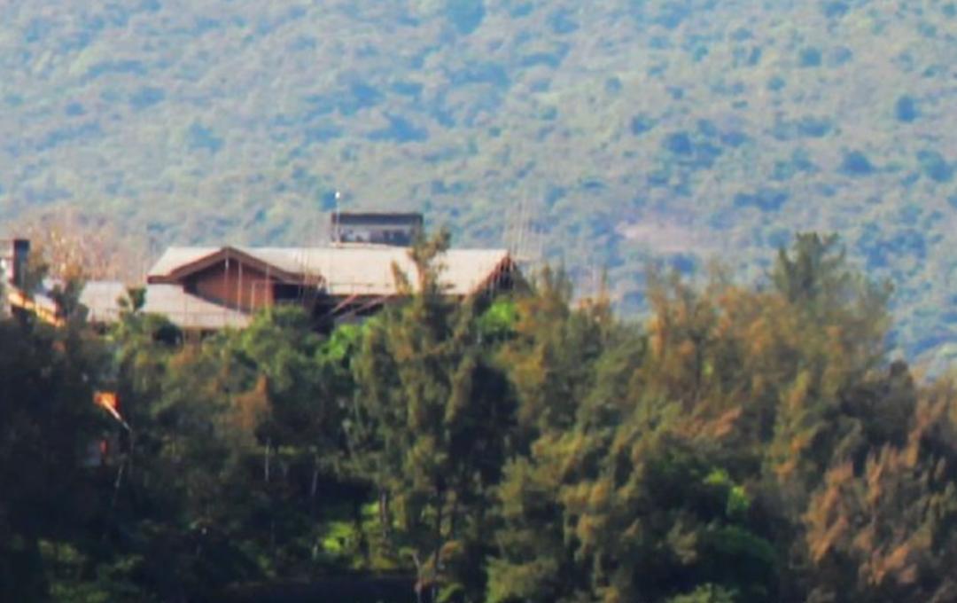 喜宝被老头打后续,喜宝喜欢石澳岛吗