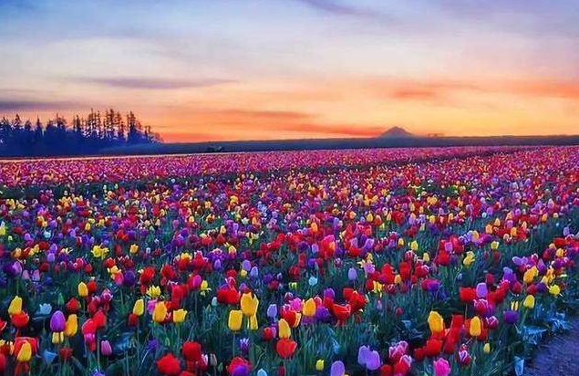 宜春4a景点,宜春免费旅游景区排名前十