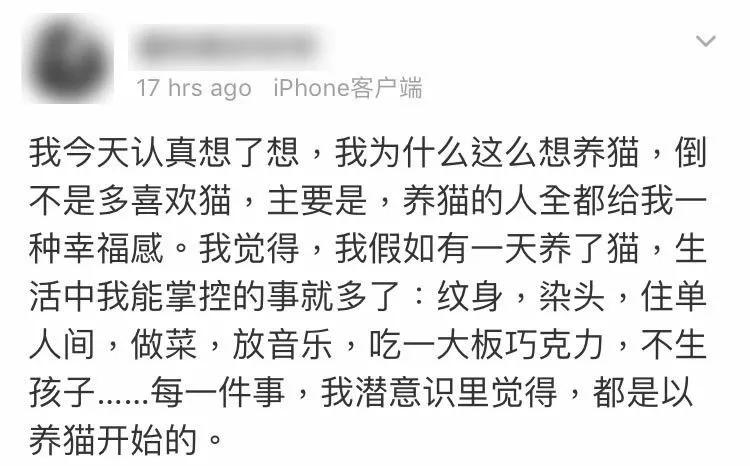 千万不要和对象一起养猫,为什么不能和养猫的男生谈恋爱