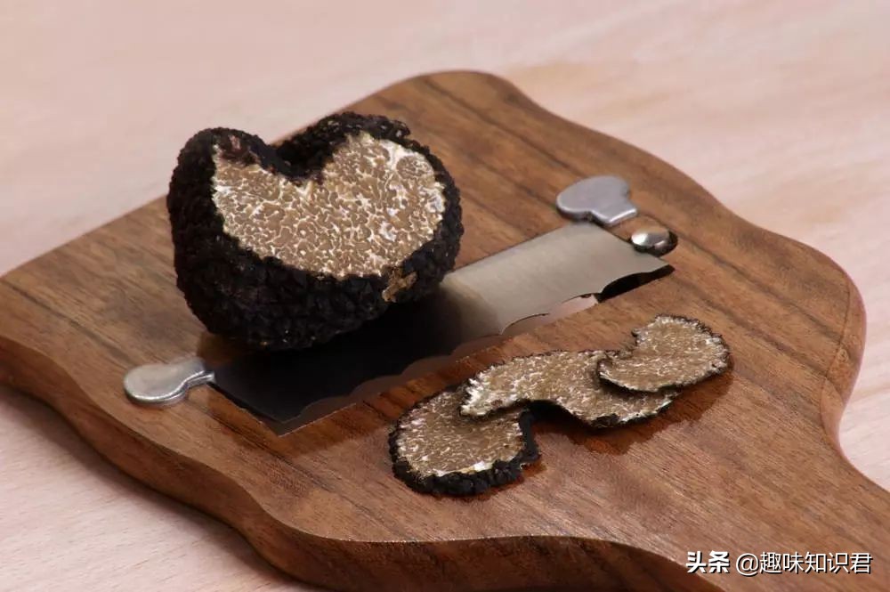 世界上最无聊的冷知识,世界十大奇葩冷知识大全