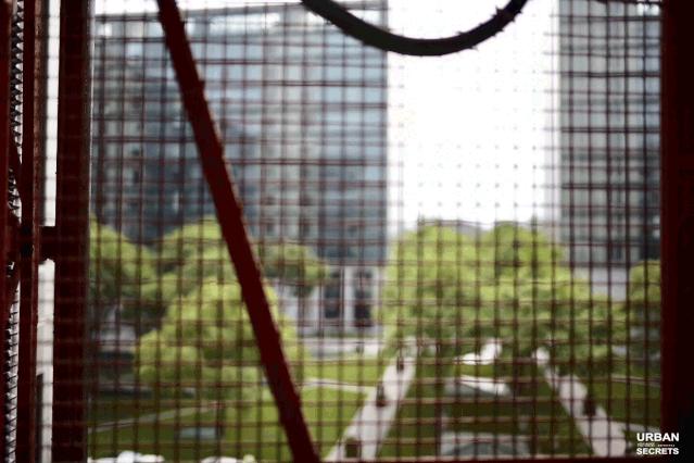 从学霸到赌王再到上市公司老总,浙大化学系学霸到服装公司上市