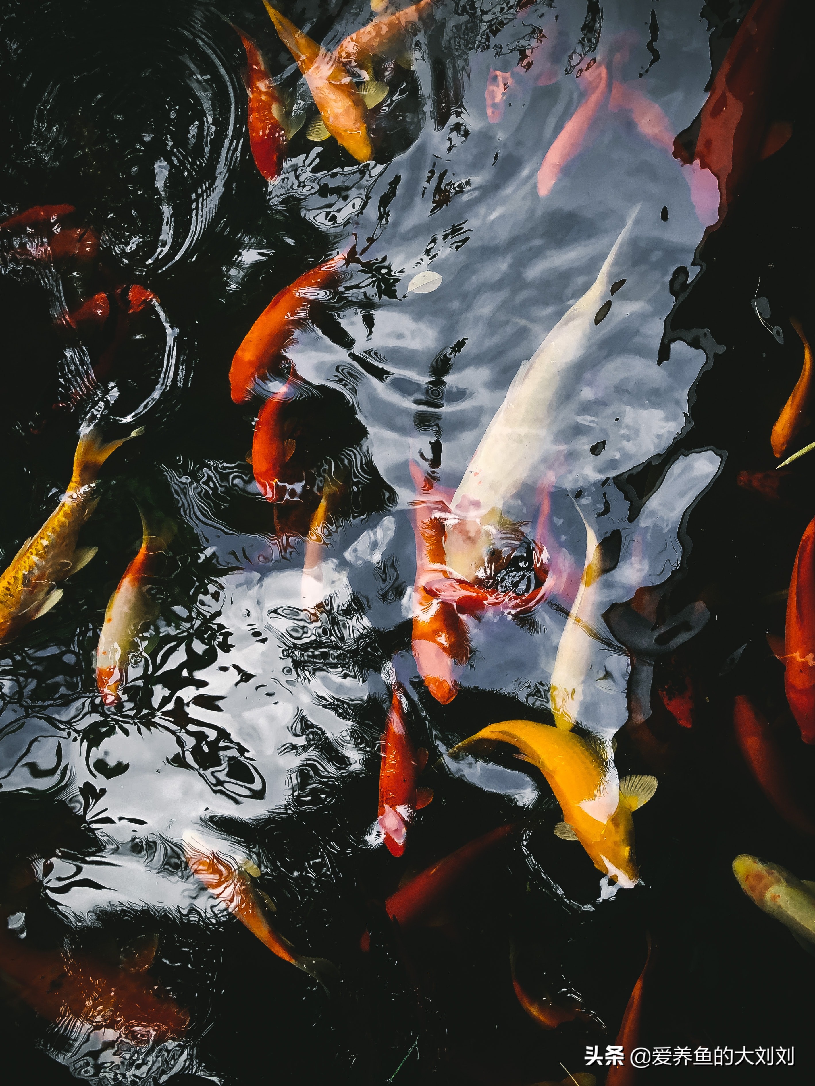 鱼缸可以用活性炭和石英砂过滤吗,鱼缸过滤材料活性炭多久换一次