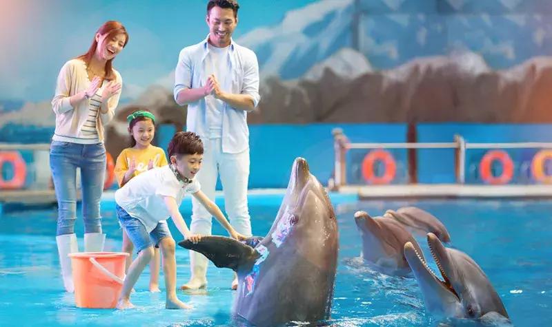 暑假国内旅行攻略亲子游,暑假亲子游适合带孩子旅游的地方