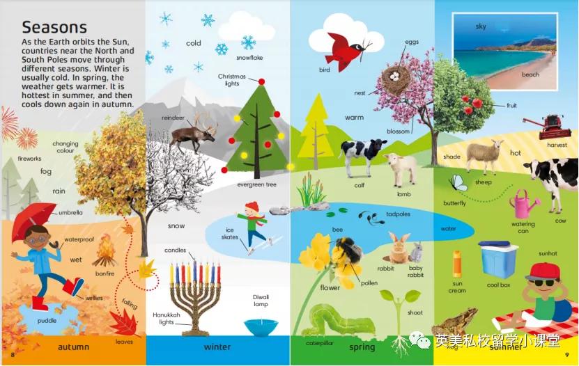 12岁推荐看的知识书,12岁儿童学dk书籍