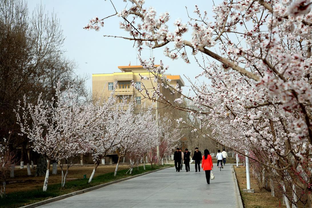 70后眼中的大学华东交通大学,70后眼中的大学长沙理工大学