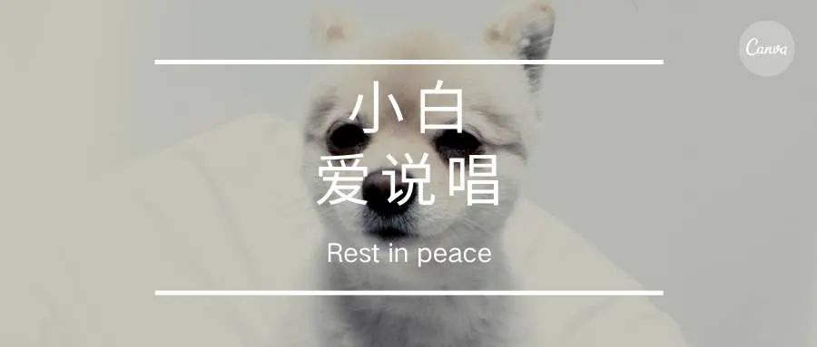 南征北战nzbz的说唱,南征北战nzbz的历史