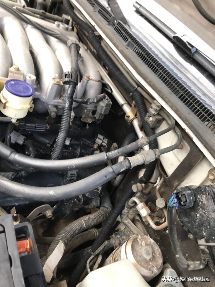 圆梦v77评测,圆梦v9