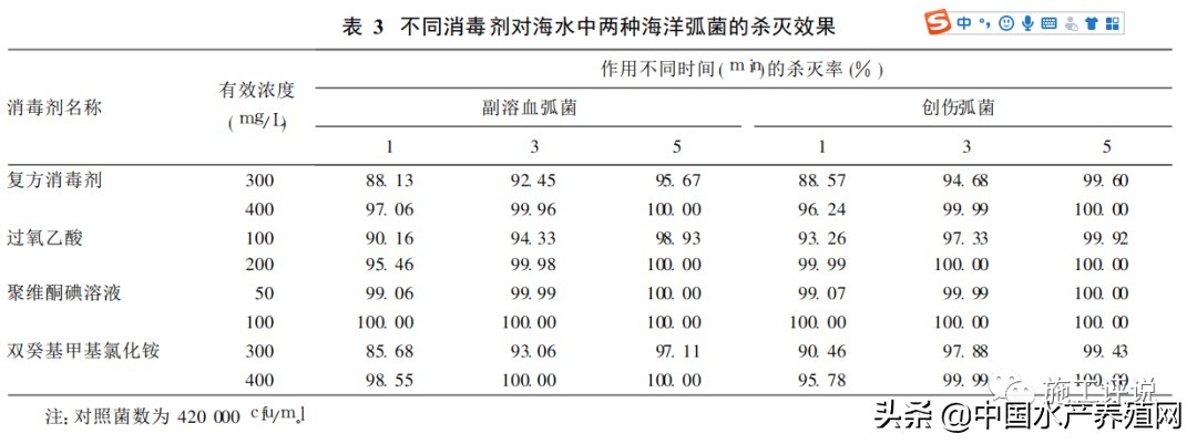 对虾养殖弧菌检测都是黄色小弧菌,对虾弧菌处理的原理是啥