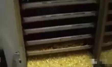 原来这些石头都是烤箱里做出来的,各种各样的石头做法