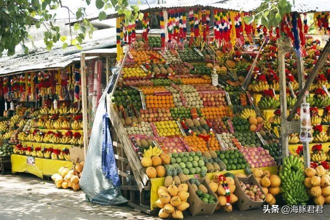 斯里兰卡旅游必购物品图片,斯里兰卡旅游商品