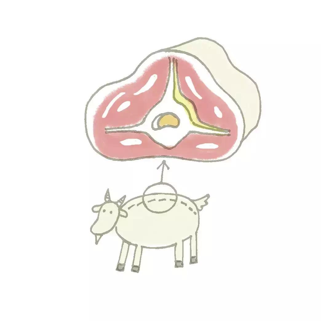 垃圾分类难点有效做法,垃圾分类知识分享