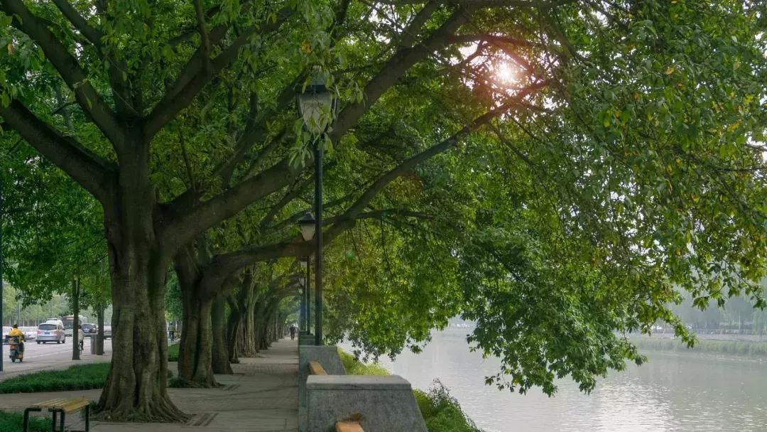 新南门,成都人听到这三个字就是包不住的清口水,走起~