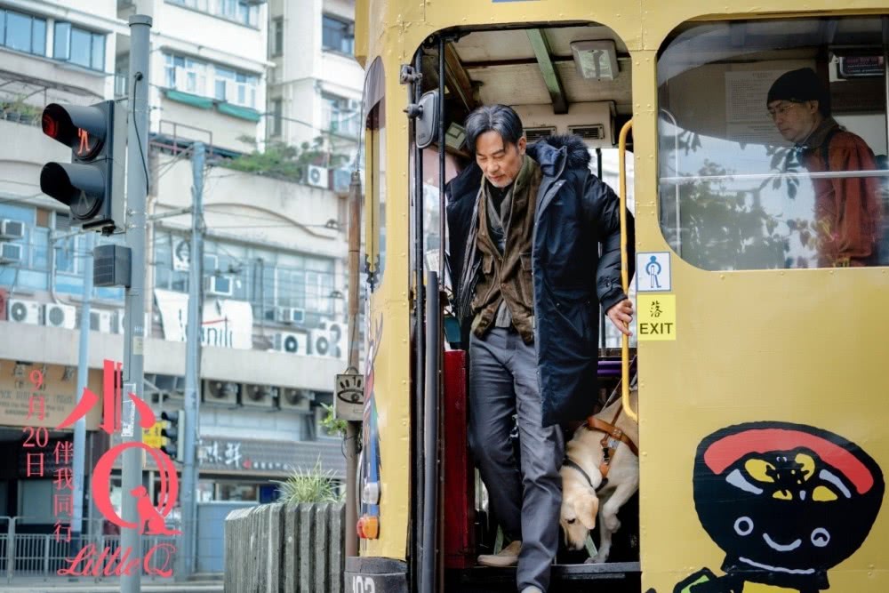 你有被人坚定的选择过吗原视频,你有被人坚定的选择过吗