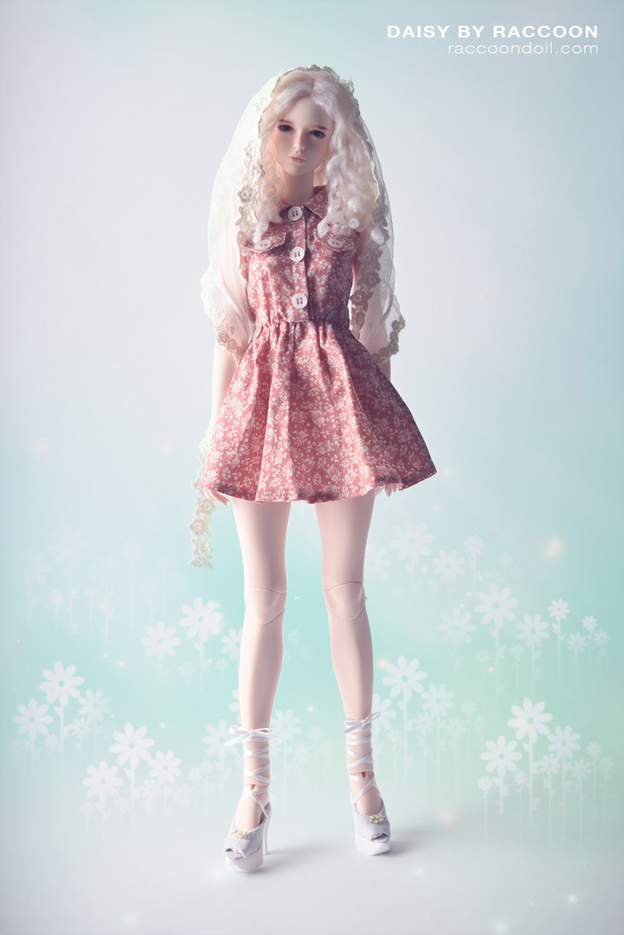 好物分享:韩国BJD娃娃品牌Raccoondoll,浓浓的泡菜味?