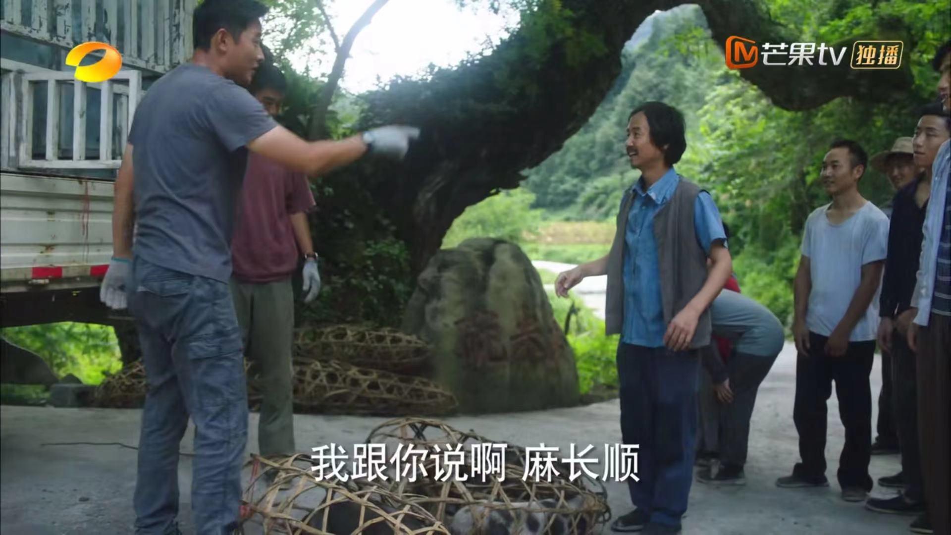 开播仅8天播放破万,芒果台又一新剧口碑大爆