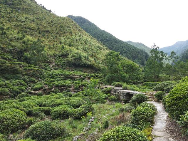 大唐绝唱—惊才绝艳的小鱼