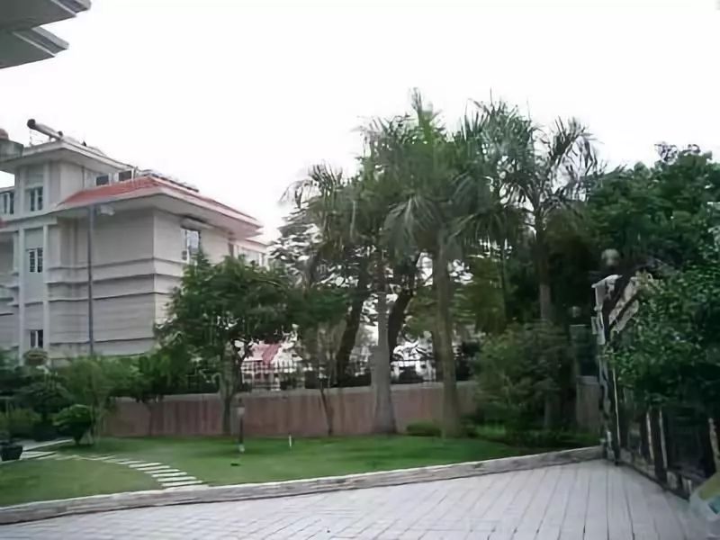 卖白米糕亿万丈夫被妻子害死,卖白糕成亿万富翁