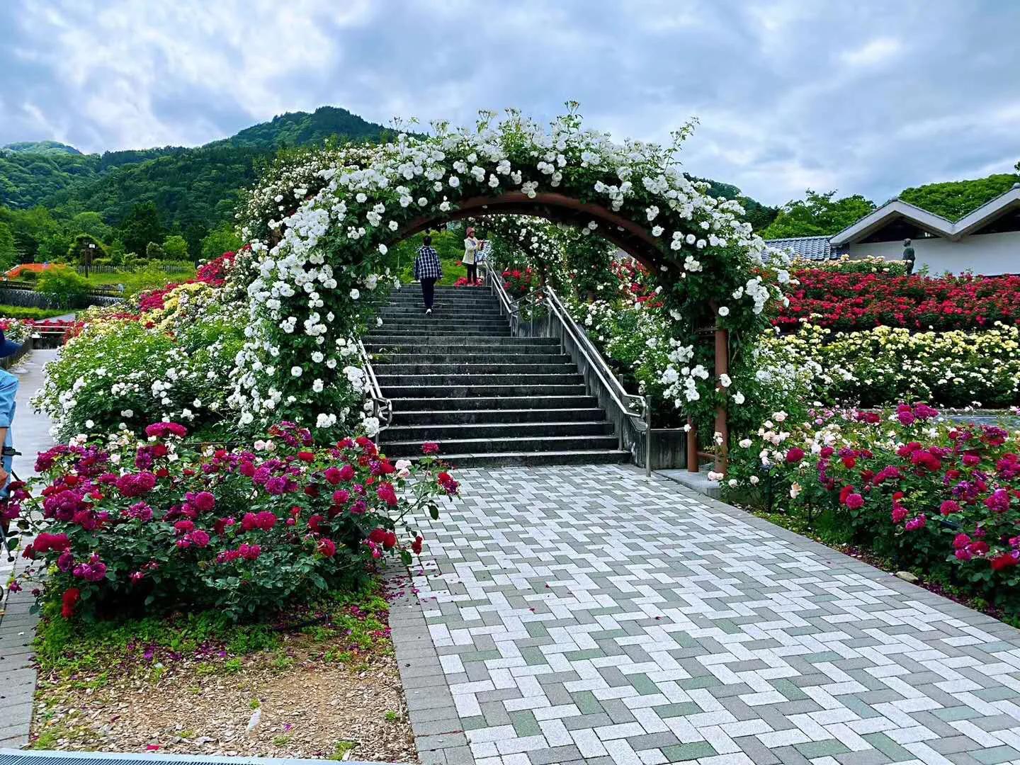 日本疫情举行聚会,日本民众疫情聚会