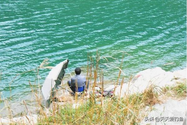 解析刮风对钓鱼的影响，什么风向鱼好钓，一看就知道