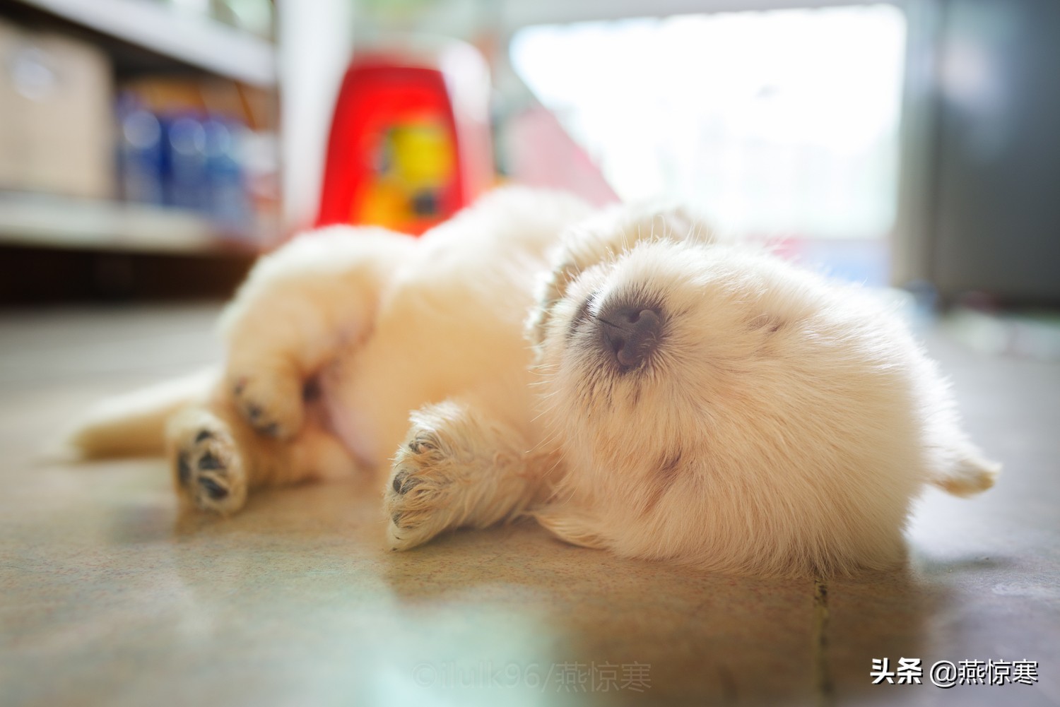 宾得相机配理光的镜头,宾得理光镜头推荐