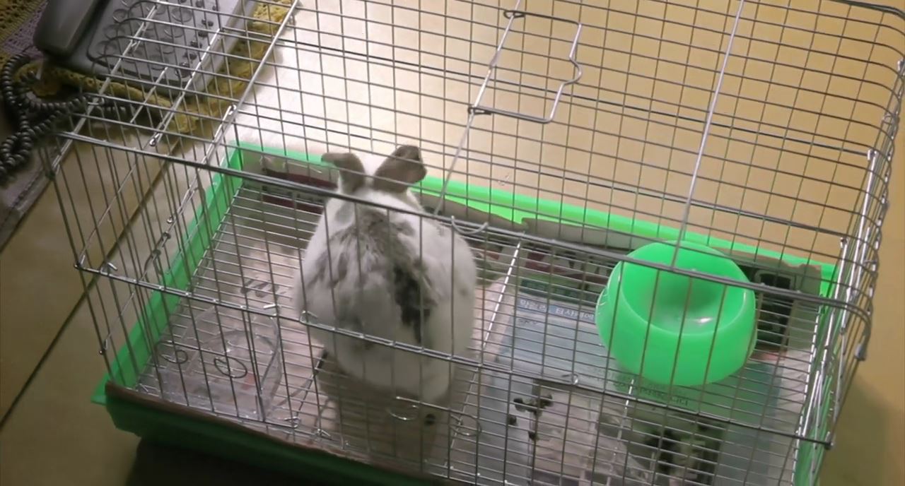 金狮级R片，人性·真不敢直视