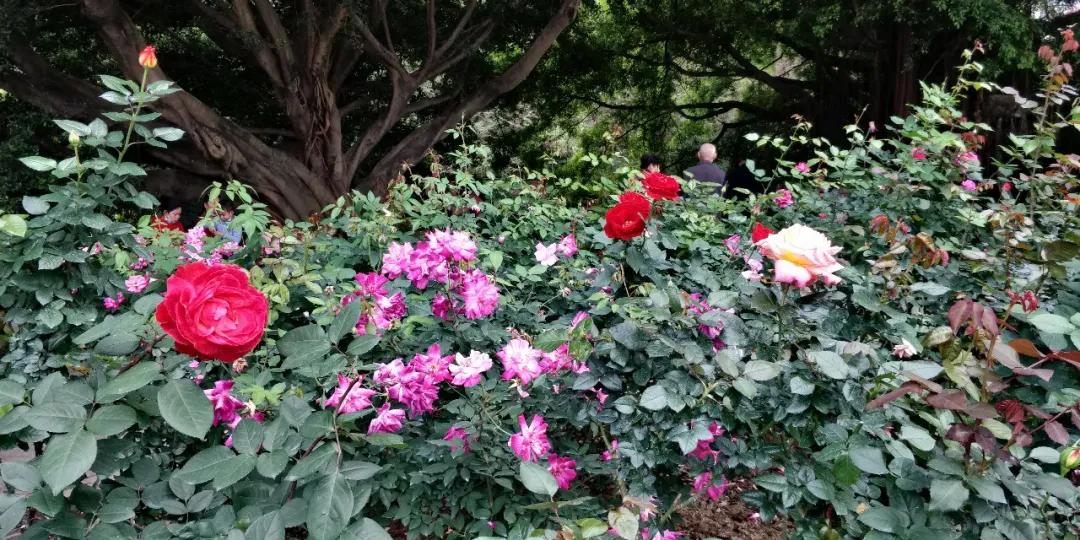 财务转错钱怎么赔偿,公司财务转错账