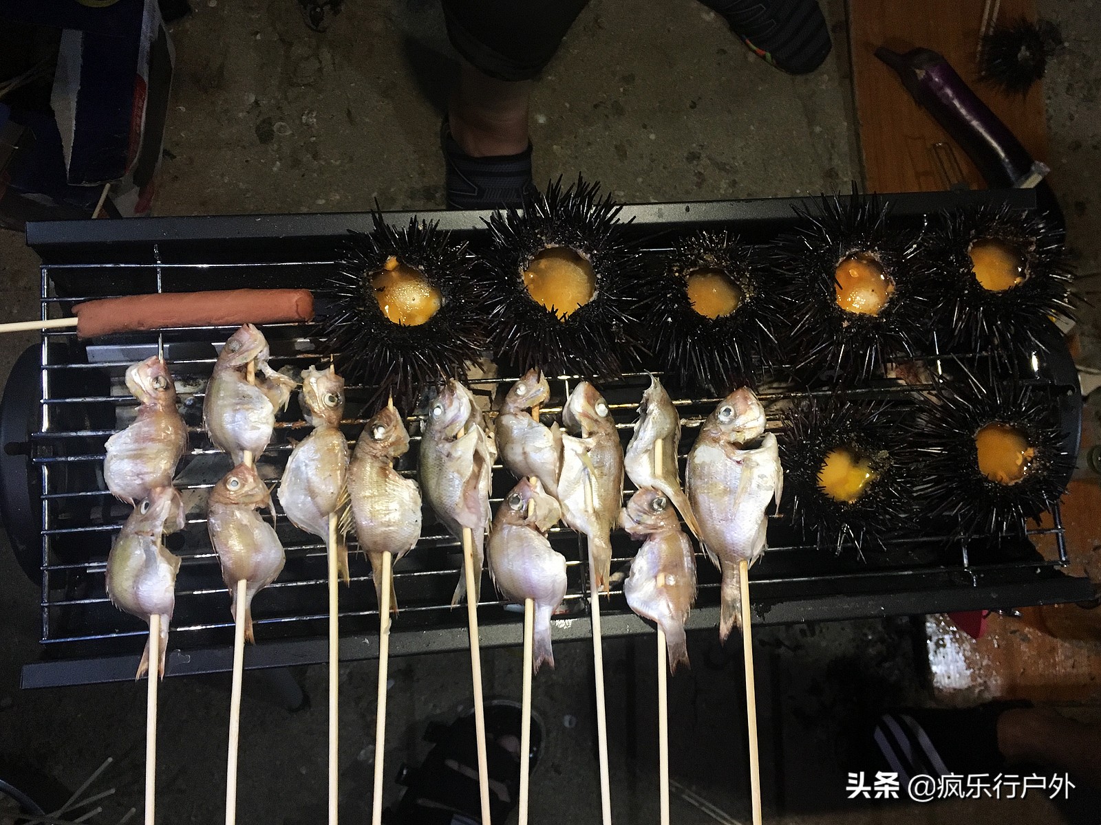 惠州赶海无人岛,国内冷门海岛无人岛推荐