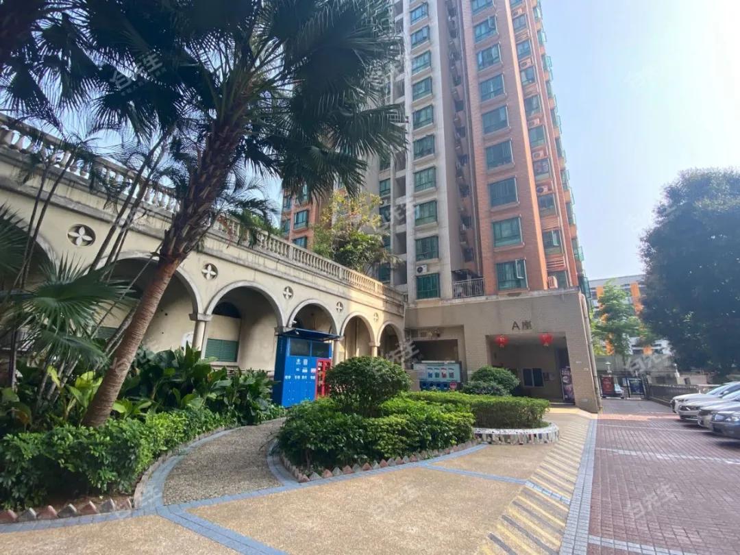 八大录取率名列前茅的二梯队石厦学校，学区房500万起