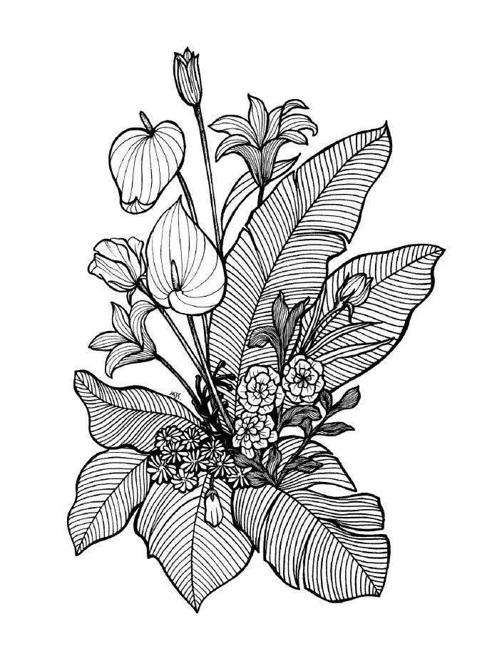 高级线描画花卉大全,花卉线描100种