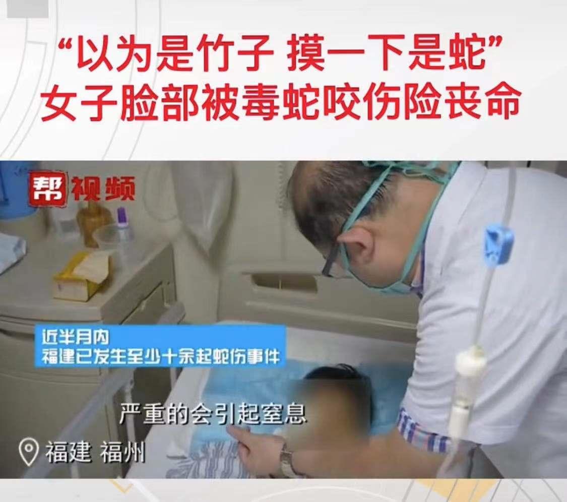 福建女子被蛇咬后续,福建女子被狗咬伤视频