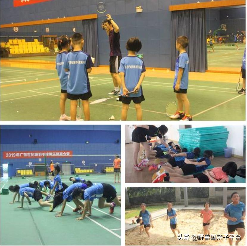 少儿篮球运动哪家好,权威少儿篮球兴趣班机构排名