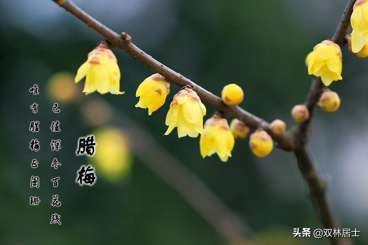 婚礼舞步教学零基础,婚礼气氛舞曲