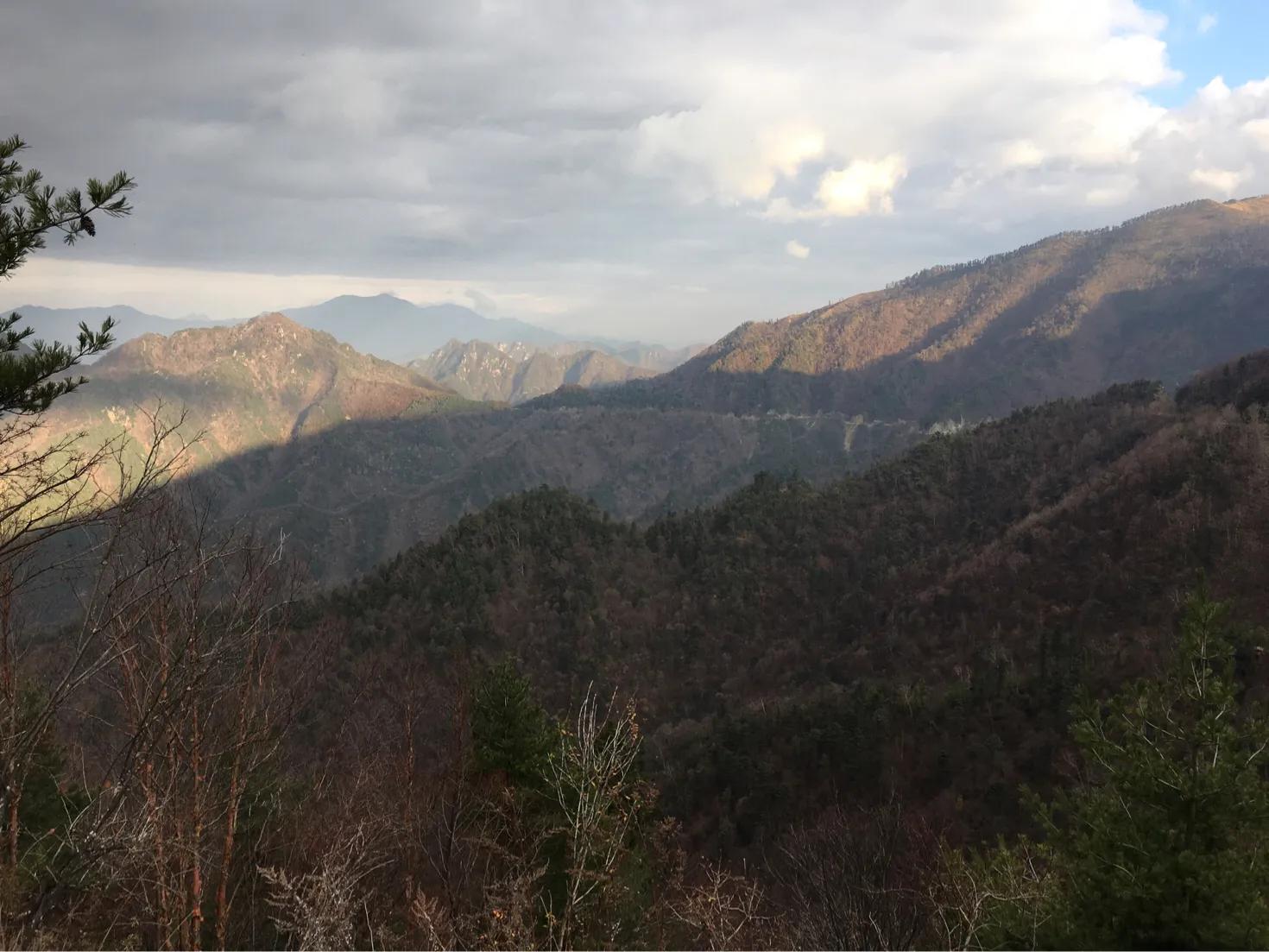 期货事件历史故事,期货发展历史详细讲解