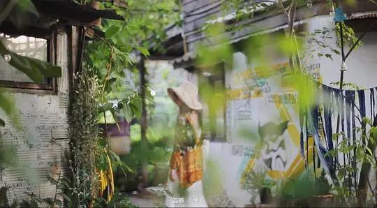 在泰国体验出家人生活,在泰国体验岛民生活