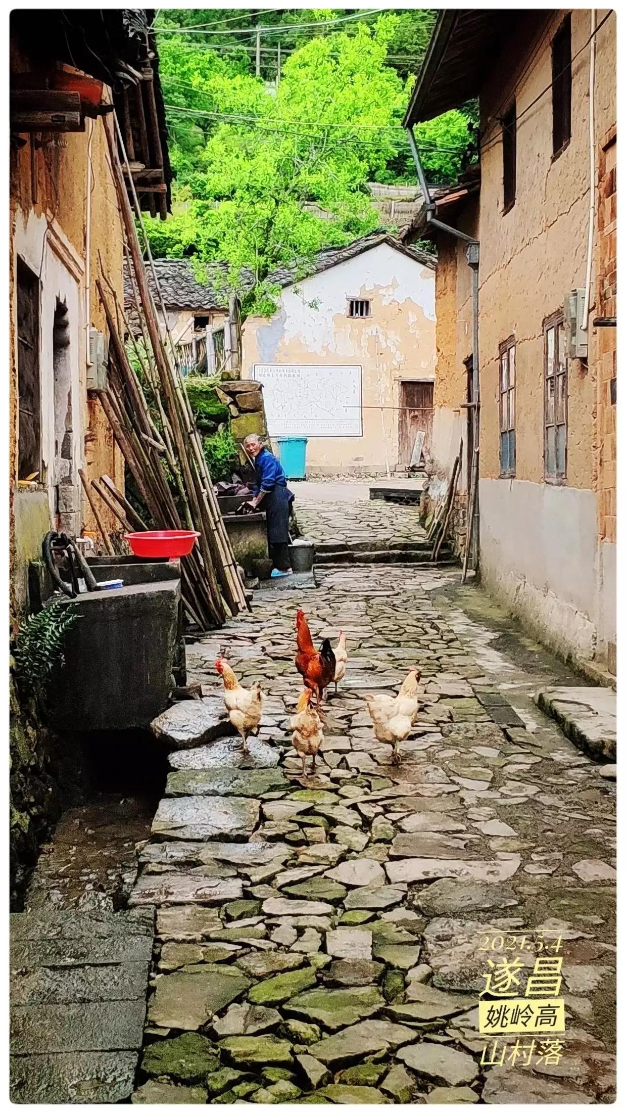 丽水遂昌深山秘境,遂昌姚岭山路
