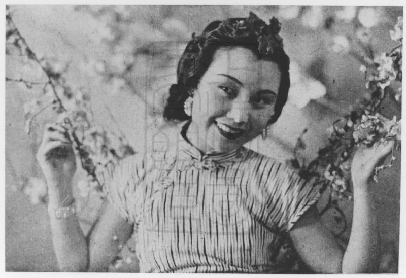 五十年代火爆女星,五十年代最红女星