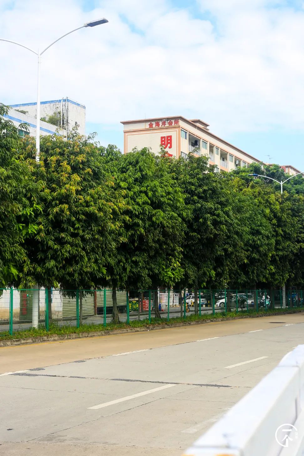 深圳“厂哥村”，女生可以百里挑一？