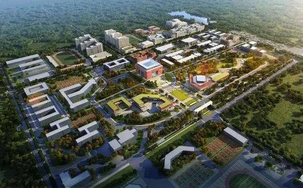 大运板块十年后的发展,成都大运村板块