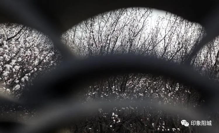 晋城哪里可以春游,晋城附近春游景点