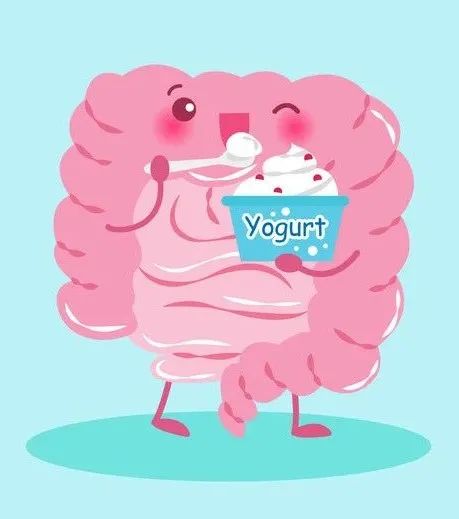 喝酸奶拉稀是肠胃不好吗,酸奶喝多了拉肚子胃疼