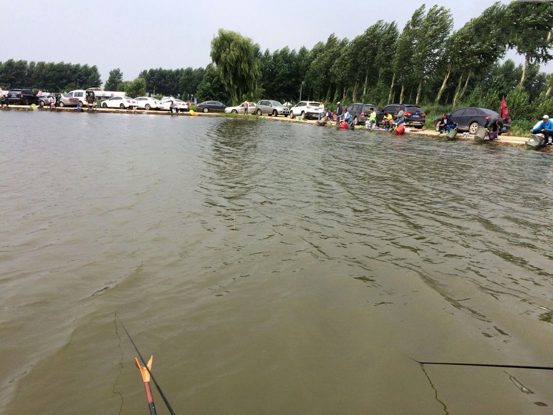 “小黄面”为什么风靡黑坑?它是一种怎样的钓饵,从四个方面探究