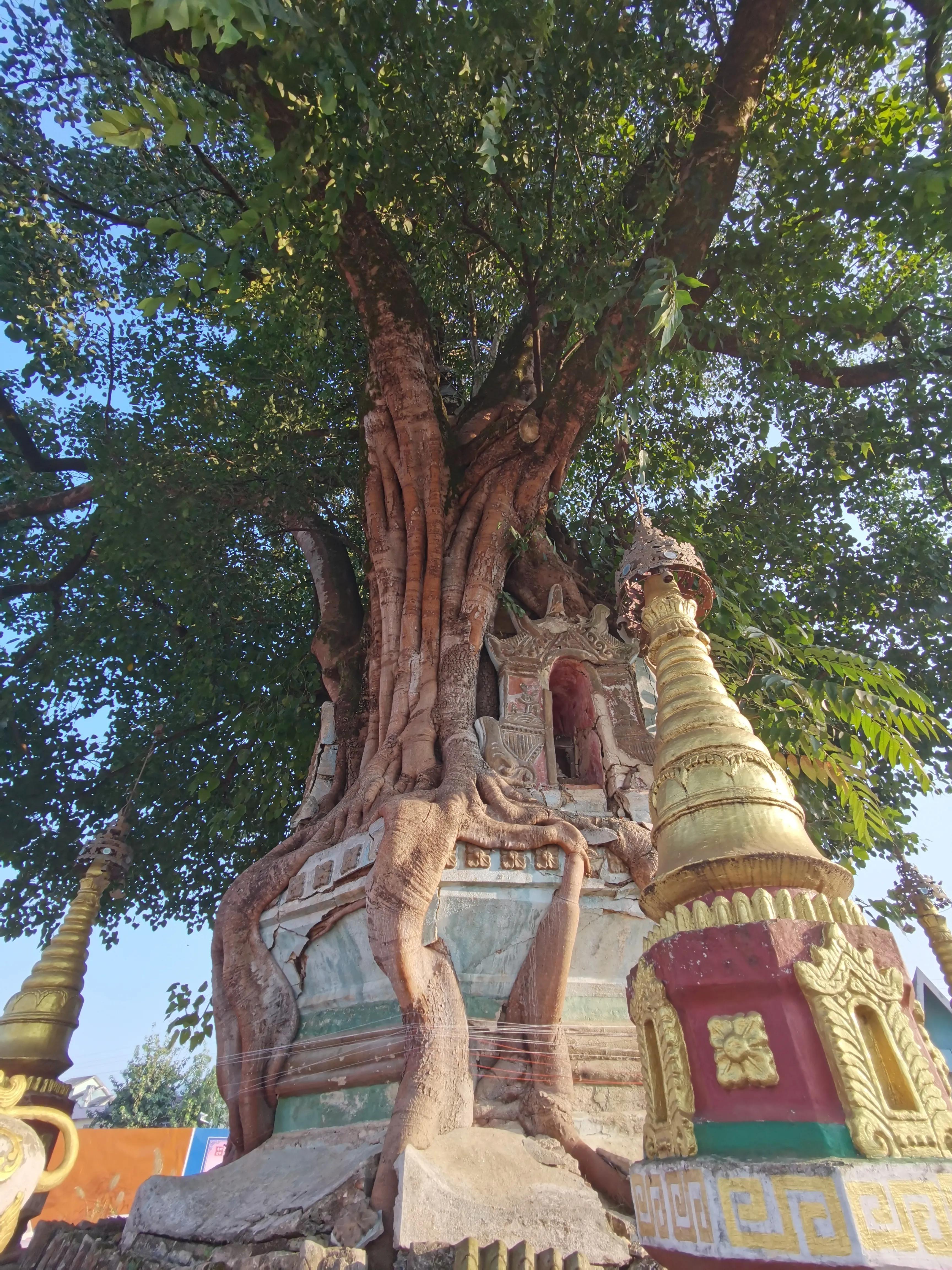 退休的生活丰富多彩幸福快乐,退休生活开启新的快乐生活