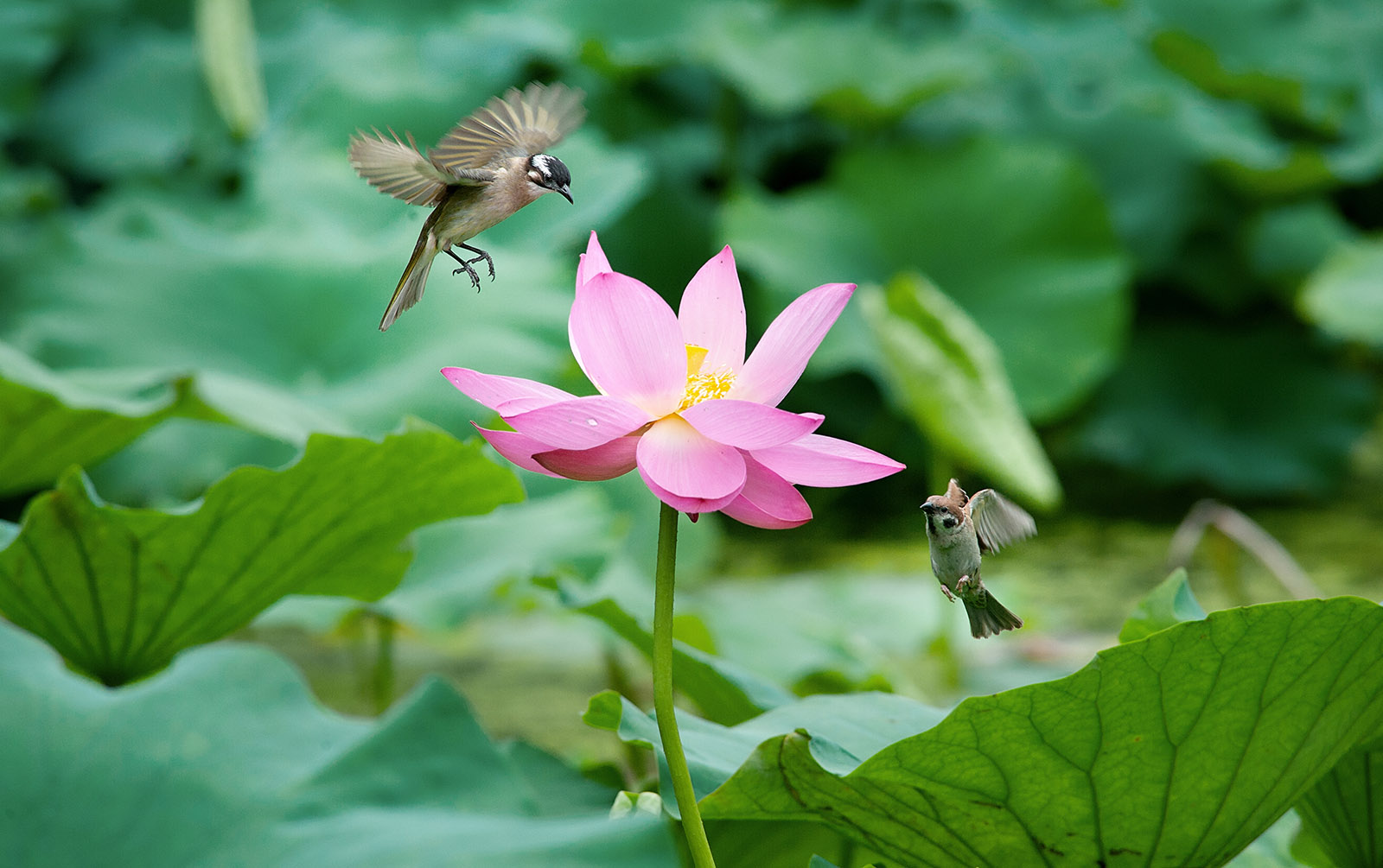 第9篇关于二手（这是个沉重而有趣的话题）