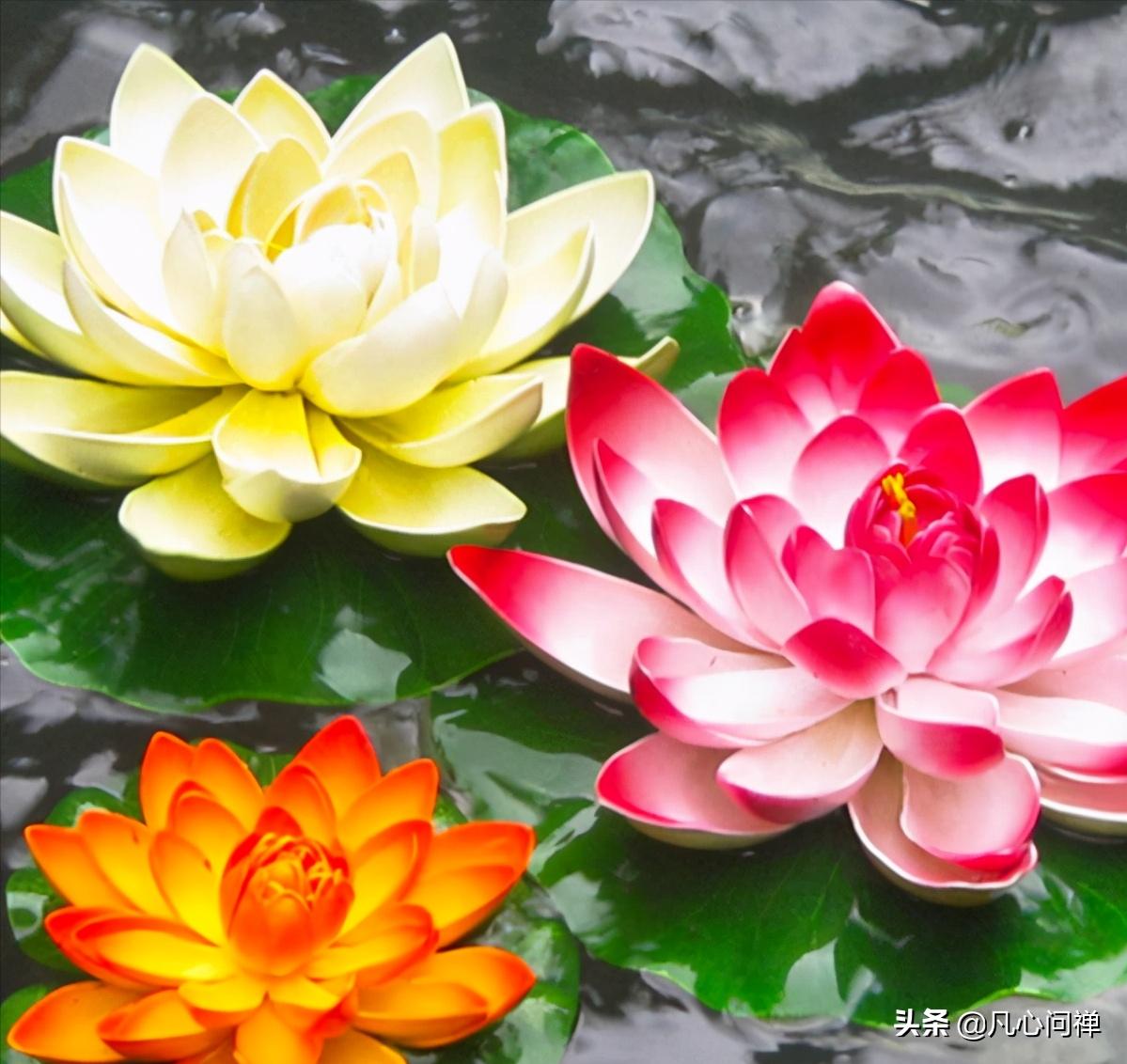 佛教为什么总说好话,佛教为什么爱吹牛说大话