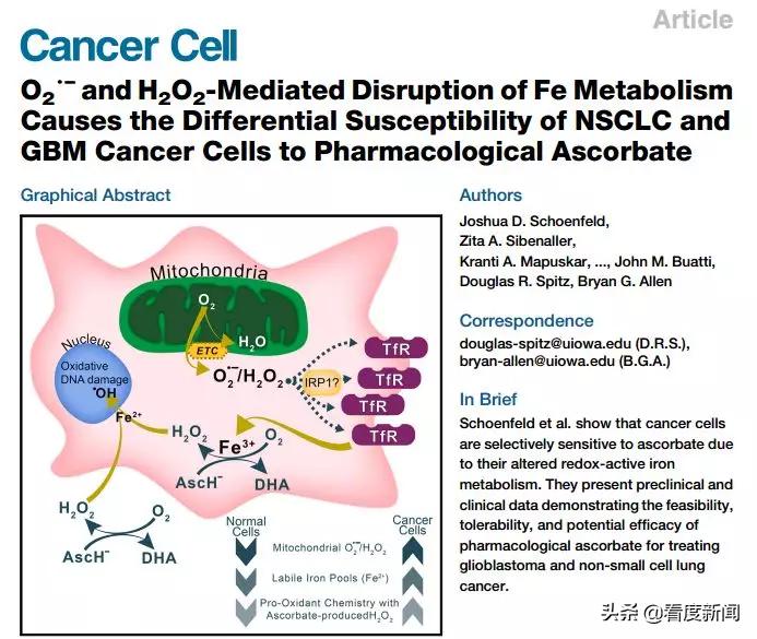 维生素C治疗新冠肺炎有用吗?日常补充维C该怎么补?