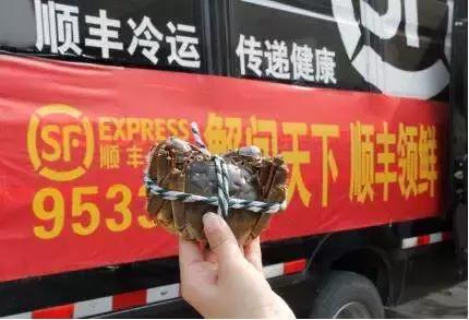 顺丰布局详细讲解,顺丰运营模式及其特点