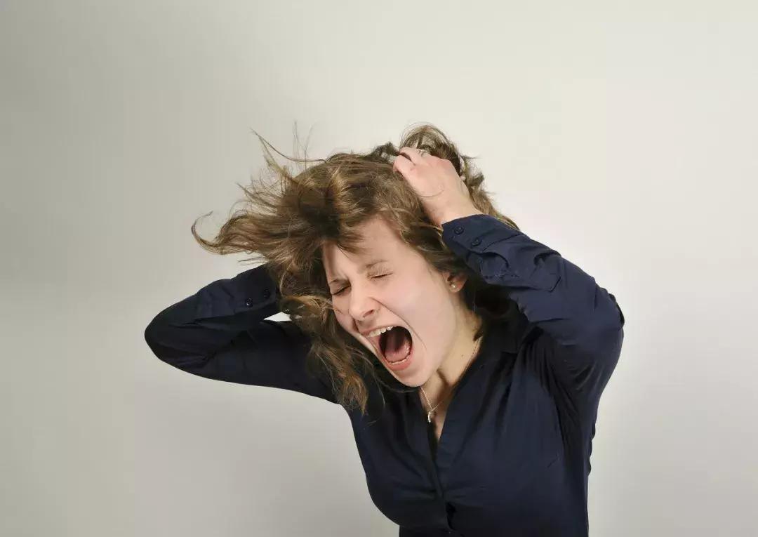 全自动凉皮机好用吗,最新型全自动凉皮机器的价格