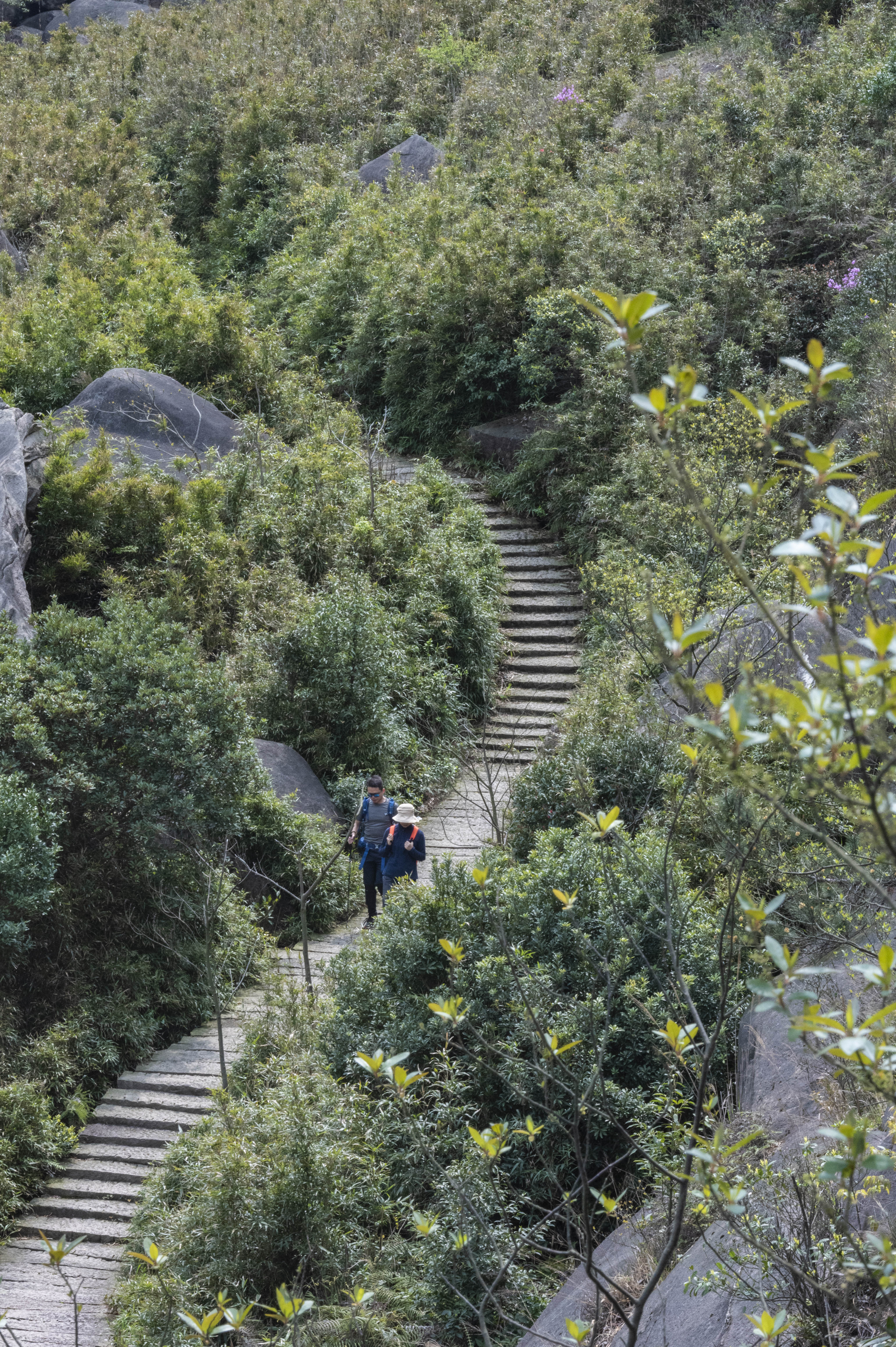 一个让人心灵净化的地方,一个让心灵得到治愈的地方